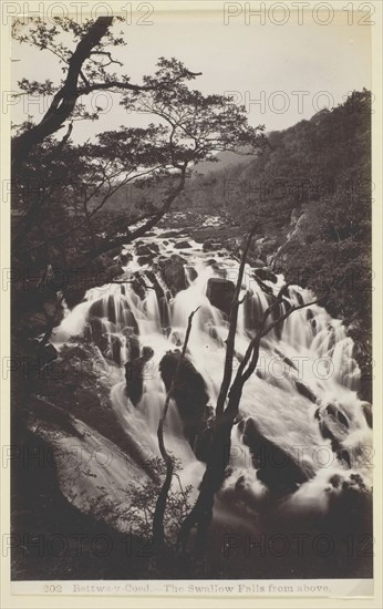 Bettw-s-y Coed, The Swallow Falls from Above, 1860/94, Francis Bedford, English, 1816–1894, England, Albumen print, 19.4 × 12.5 cm (image), 20 × 12.5 cm (paper)