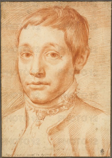 Portrait of His Son, Antonio Carracci, 1592/95, Agostino Carracci, Italian, 1557-1602, Italy, Red chalk on cream laid paper, laid down on cream wove paper, 361 x 256 mm