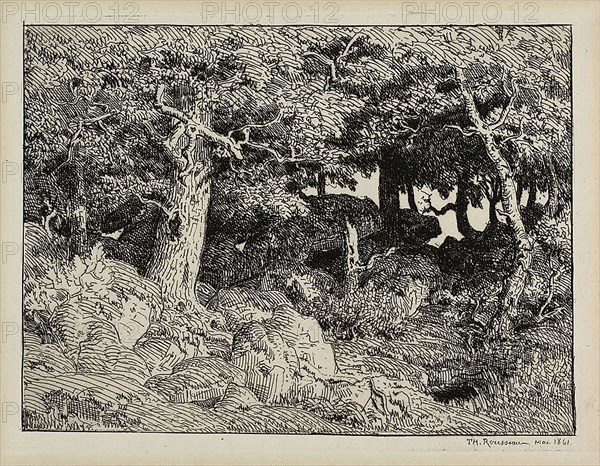 Oak from Rocks, 1861, Théodore Rousseau (French, 1812-1867), printed by Auguste Delâtre (French, 1822-1907), France, Etching on ivory laid paper, 125 × 168 mm (image), 134 × 208 mm (plate), 202 × 285 mm (sheet)