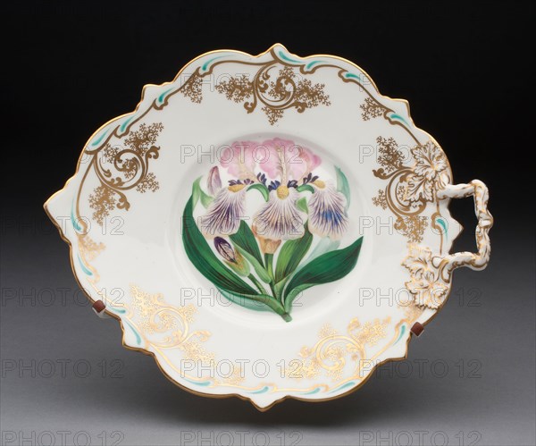 Dish, c. 1825, Spode Pottery & Porcelain Factory, English, founded 1776, Stoke on Trent, Porcelain, polychrome enamels and gilding, 5.7 x 22.5 x 26.4 cm (2 1/4 x 8 7/8 x 10 3/8 in.)