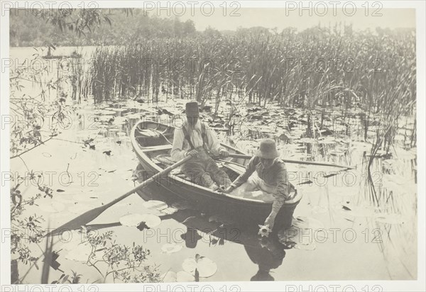 Gathering Water-Lilies, 1886, printed 1886, Peter Henry Emerson, English, born Cuba, 1856–1936, England, Platinum print, pl. IX from the album "Life and Landscape on the Norfolk Broads" (1886), edition of 200, 19.7 × 29.1 cm (image/paper), 28.6 × 41 cm (album page)