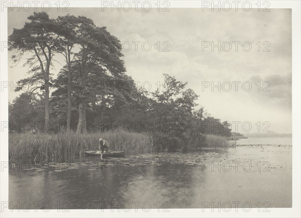 The Haunt of the Pike, 1886, Peter Henry Emerson, English, born Cuba, 1856–1936, England, Platinum print, pl. XV from the album "Life and Landscape on the Norfolk Broads" (1886), edition of 200, 20.4 × 28.9 cm (image/paper), 28.6 × 41.1 cm (album page)