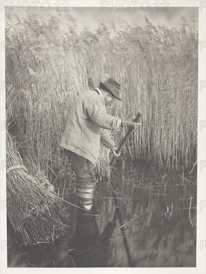 A Reed-Cutter at Work, 1886, Peter Henry Emerson, English, born Cuba, 1856–1936, England, Platinum print, pl. XXV from the album "Life and Landscape on the Norfolk Broads" (1886), edition of 200, 28.3 × 20.7 cm (image/paper), 41.1 × 28.6 cm (album page)