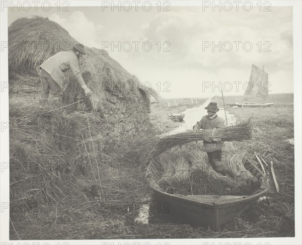 Ricking the Reed, 1886, Peter Henry Emerson, English, born Cuba, 1856–1936, England, Platinum print, pl. XXVII from the album "Life and Landscape on the Norfolk Broads" (1886), edition of 200, 23.1 × 27.3 cm (image/paper), 28.6 × 41.1 cm (album page)