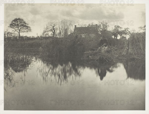 Quanting the Gladdon, 1886, Peter Henry Emerson, English, born Cuba, 1856–1936, England, Platinum print, pl. XXXIV from the album "Life and Landscape on the Norfolk Broads" (1886), edition of 200, 22 × 29.2 cm (image/paper), 28.5 × 40.9 cm (album page)