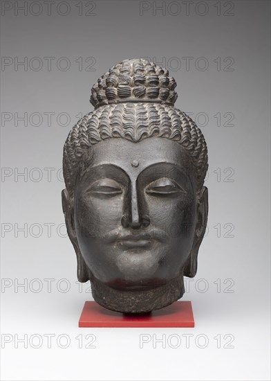 Head of Buddha, Kushan period, 2nd/3rd century, Pakistan, Ancient region of Gandhara, Gandhara, Gray schist, 27.8 × 16.4 × 19.6 cm (11 × 6 1/2 × 7 5/8 in.)