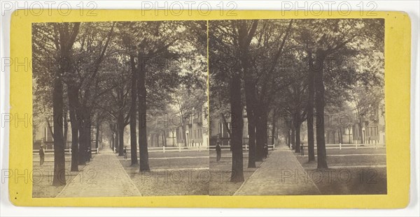 Bull St. from Madison Square, 1860/80, J. N. Wilson, American, 1827–1897, United States, Albumen print, stereo, 7.7 x 7.7 cm (each image), 8.7 x 17.6 cm (card)