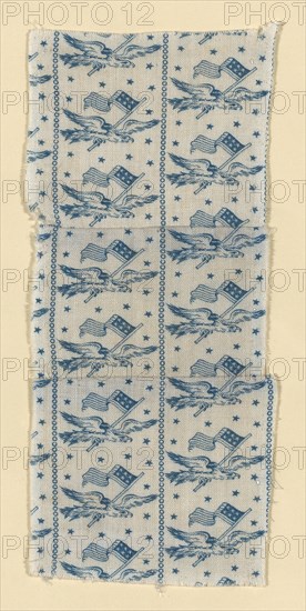 Fragment, 1876, United States, Cotton, plain weave, roller printed, 18.5 × 8 cm (7 1/4 × 3 1/8 in.)