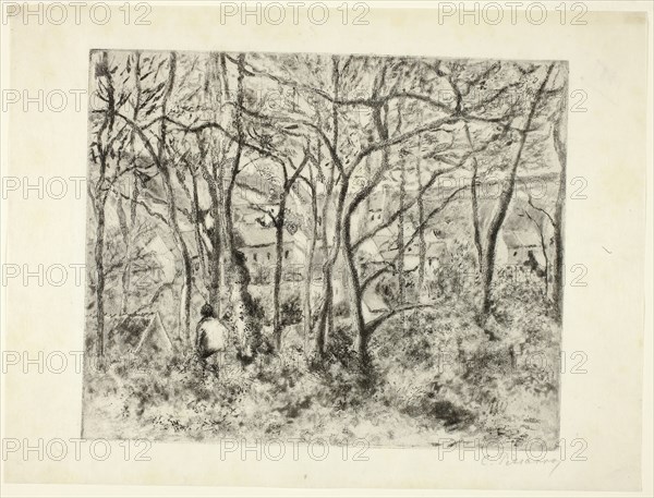Woodlands at the Hermitage, 1879, Camille Pissarro, French, 1830-1903, France, Aquatint, soft ground etching, and drypoint in black on ivory Japanese paper, 220 × 270 mm (image/plate), 270 × 358 mm (sheet)