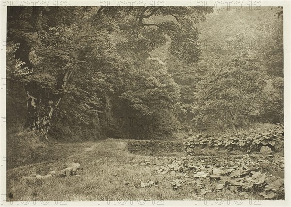 A Quiet Nook in Beresford Dale, 1880s, Peter Henry Emerson, English, born Cuba, 1856–1936, England, Photogravure, plate LIII from the album "The Compleat Angler or the Contemplative Man's Recreation, Volume II" (1888), edition 109/250, 14.3 × 20.1 cm (image), 16.4 × 22.1 cm (paper), 24.6 × 32.4 cm (album page)