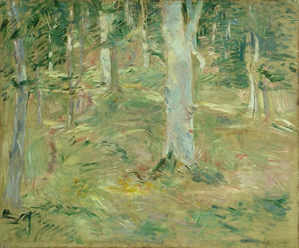 Forêt de Compiègne, 1885, Berthe Morisot, French, 1841-1895, France, Oil on canvas, 21 3/8 × 25 1/2 in. (54.2 × 64.8 cm)