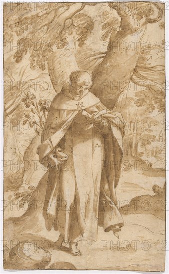 Saint Dominic Reading, c. 1573, Bartholomaeus Spranger, Flemish, 1546-1611, Flanders, Pen and brown ink and brush and brown wash, with touches of opaque white watercolor, over traces of black chalk, on cream laid paper, 306 × 186 mm
