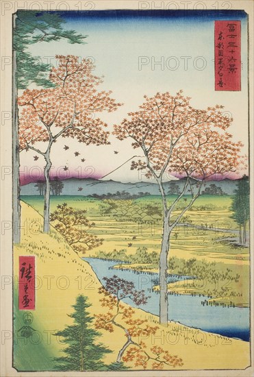 Yuhi Hill at Meguro in the Eastern Capital (Toto Meguro Yuhigaoka), from the series Thirty-six Views of Mount Fuji (Fuji sanjurokkei), 1858, Utagawa Hiroshige ?? ??, Japanese, 1797-1858, Japan, Color woodblock print, oban