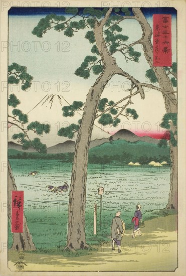 Mout Fuji Seen from the Left on the Tokaido (Tokaido hidari Fuji), from the series Thirty-six Views of Mount Fuji (Fuji sanjurokkei), 1858, Utagawa Hiroshige ?? ??, Japanese, 1797-1858, Japan, Color woodblock print, oban