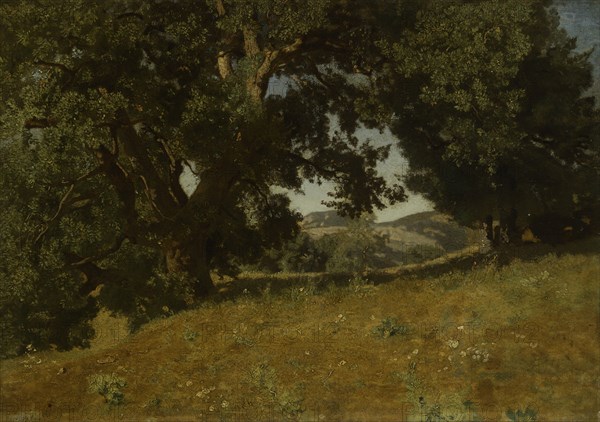 Landscape, 1835/40, Eugène Blery, French, 1805-1887, France, Oil on paper mounted on canvas, 13 3/4 × 19 1/3 in. (34.9 × 49.1 cm)