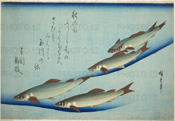 River trout, c. 1832/44, Utagawa Hiroshige ?? ??, Japanese, 1797-1858, Japan, Color woodblock print, oban, 25.6 x 37.2 cm