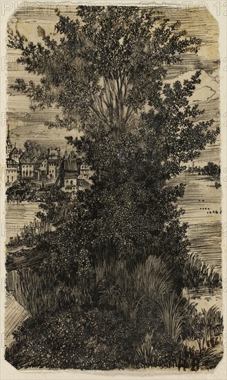 Clump of Trees with a Village in the Distance, 1861, Rodolphe Bresdin, French, 1825-1885, France, Pen and black ink, on cream tracing paper, laid down on ivory wove paper, tipped onto buff laid paper, 151 × 91 mm