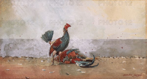 The Cock Fight, 1885, Winslow Homer, American, 1836-1910, United States, Transparent and opaque watercolor, with traces of scraping, over graphite, on thick, moderately textured, cream wove paper (top and lower edges trimmed), 265 x 484 mm