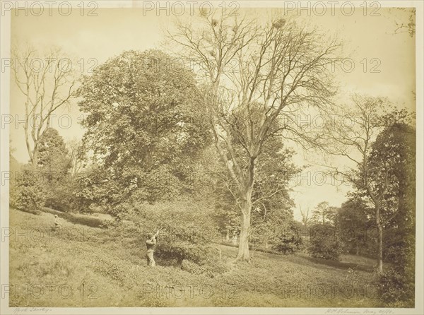 Rook Shooting, May 21, 1881, Henry Peach Robinson, English, 1830–1901, England, Albumen print, 27.6 × 37.2 cm (image/paper), 36.4 × 51.8 cm (mount)