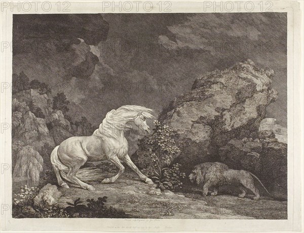 A Horse Frightened by a Lion, 1777, George Stubbs, English, 1724-1806, England, Etching with engraving on paper, 345 × 460 mm (image), 374 × 480 mm (plate), 385 × 500 mm (sheet)