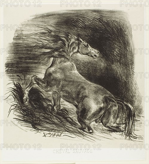 Wild Horse or Frightened Horse Leaving the Water, 1828, Eugène Delacroix, French, 1798-1863, France, Lithograph from two stones in buff and black on white wove paper, 267 × 244 mm (image), 244 × 241 mm (sheet)