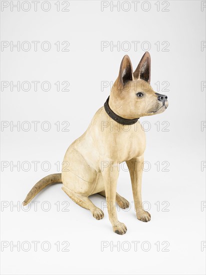 Bull Terrier, 1875/1900, American, 19th/20th century, United States, Pine, 59.8 × 30.5 × 47 cm (23 1/2 × 12 × 18 1/2 in.)