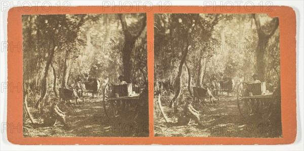 Moss Avenue, Fort George, Florida, 1872, American, 19th century, United States, Albumen print, stereo, 7.5 x 7.5 cm (each image), 8.4 x 17.5 cm (card)