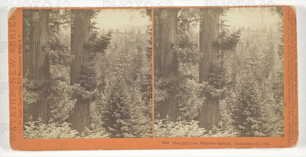 Vine Hill from Magnetic Springs. Santa Cruz Co., Cal., 1878/82, Carleton Watkins, American, 1829–1916, United States, Albumen print, stereo, No. 5024 from the series "Watkins' New Series