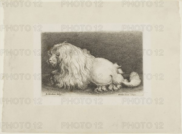 White Dog, 1649, Wenceslaus Hollar (Czech, 1607-1677), after Adriaen Jacobz Matham (Dutch, 1599-1660), Bohemia, Etching on ivory laid paper, 77 × 122 mm (plate), 155 × 212 mm (sheet)