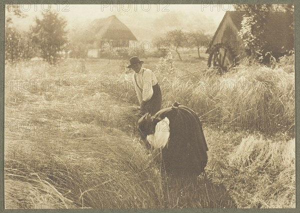 Early Morn, 1894, Alfred Stieglitz, American, 1864–1946, United States, Photogravure, from the portfolio "American Pictorial Photography, Series I" (1899), edition 146/150, 14 x 19.8 cm (image/paper), 12.5 x 17.9 cm (first hinged paper), 20.1 x 26.8 cm (second hinged paper)