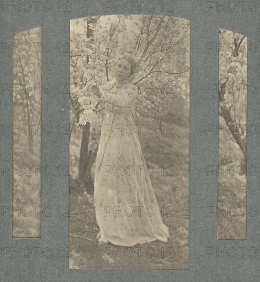 Spring, 1898, Clarence H. White, American, 1871–1925, United States, Photogravure, No. 18 from the portfolio "American Pictorial Photography, Series I" (1899), edition 146/150, 11.5 x 1.6 cm, 13.6 x 6.3 cm, 11.5 x 1.6 cm (sight, triptych with circular top), 38 x 28 cm (hinged paper)