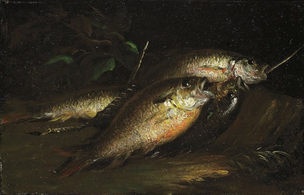 Fish, 1842, Shepard Alonzo Mount, American, 1804–1868, United States, Oil on panel, 17.2 × 27.3 cm (6 3/4 × 10 3/4 in.)