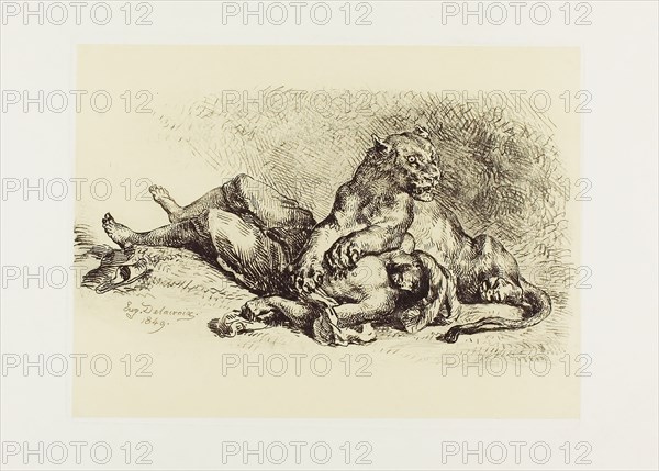 Lioness Tearing at the Chest of an Arab, 1849, Eugène Delacroix, French, 1798-1863, France, Soft ground etching and roulette on cream chine, laid down on white wove paper, 212 × 281 mm (plate), 350 × 490 mm (sheet)
