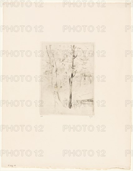 The Lake in the Bois de Boulogne, 1889, Berthe Morisot, French, 1841-1895, France, Drypoint in black on cream laid paper, 159 × 119 mm (image), 159 × 119 mm (plate), 356 × 279 mm (sheet)