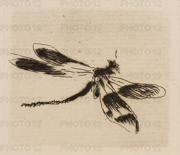 Dragonfly, plate 1 from Le Fleuve, 1874, Édouard Manet (French, 1832-1883), written by Charles Cros (French, 1842-1888), printed by Auguste Delâtre (French, 1822-1907) and Cochet (French, 19th century), published by Librairie de l’eau-forte (French, 19th century) and Richard Lesclide (French, 1825-1892), France, Etching, drypoint and aquatint in black on ivory laid paper, 48 × 55 mm (image), 59 × 60 mm (plate), 276 × 237 mm (sheet)
