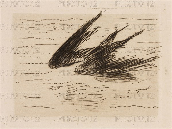 Swallows, plate 8 from Le Fleuve, 1874, Édouard Manet (French, 1832-1883), written by Charles Cros (French, 1842-1888), printed by Auguste Delâtre (French, 1822-1907) and Cochet (French, 19th century), published by Librairie de l’eau-forte (French, 19th century) and Richard Lesclide (French, 1825-1892), France, Etching, drypoint and aquatint in black on ivory laid paper, 36 × 52 mm (image), plate: 42 × 58 mm (plate), 278 × 240 mm (sheet)