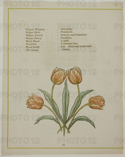 Decorative Illustration, from The Illuminated Language of Flowers, published 1884, probably Edmund Evans (English, 1826-1905), after Kate Greenaway (English, 1846-1901), printed by Edmund Evans, England, Color wood engraving (chromoxylograph) reproduction of a watercolor on paper