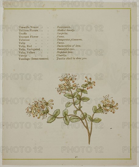 Valerian Through Volkamenia, from The Illuminated Language of Flowers, published 1884, probably Edmund Evans (English, 1826-1905), after Kate Greenaway (English, 1846-1901), printed by Edmund Evans, England, Color wood engraving (chromoxylograph) reproduction of a watercolor on paper
