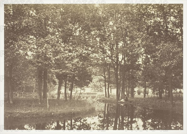 Untitled, c. 1850, Charles Marville, French, 1813–1879, France, Albumen print, from the series "Bois de Boulogne