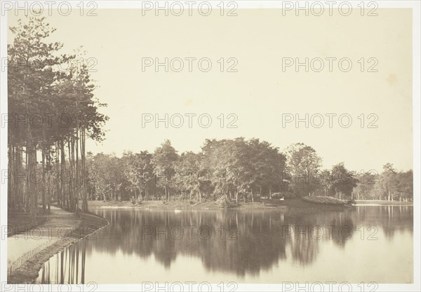 Untitled, c. 1850, Charles Marville, French, 1813–1879, France, Albumen print, from the series "Bois de Boulogne