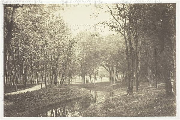 Untitled, c. 1850, Charles Marville, French, 1813–1879, France, Albumen print, from the series Bois de Boulogne