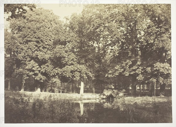 Untitled, c. 1850, Charles Marville, French, 1813–1879, France, Albumen print, from the series "Bois de Boulogne