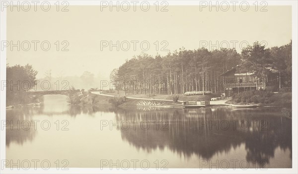 Untitled, c. 1850, Charles Marville, French, 1813–1879, France, Albumen print, from the series "Bois de Boulogne