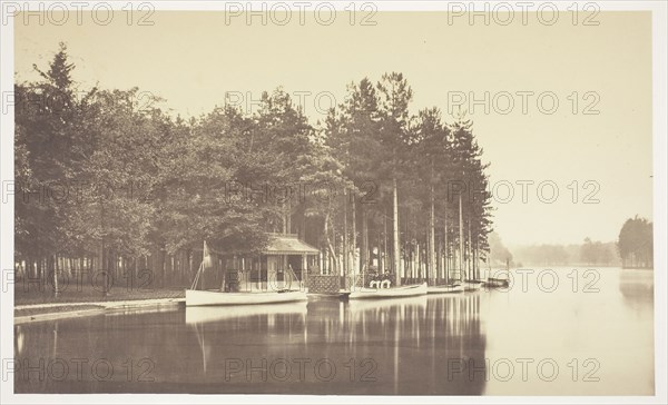 Untitled, c. 1850, Charles Marville, French, 1813–1879, France, Albumen print, from the series "Bois de Boulogne