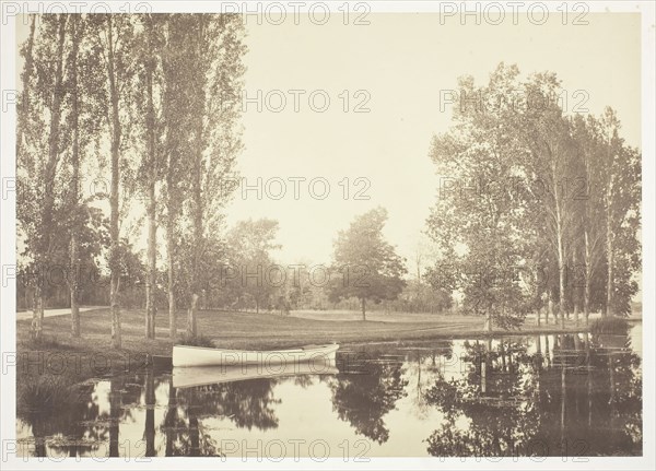 Untitled, c. 1850, Charles Marville, French, 1813–1879, France, Albumen print, from the series "Bois de Boulogne