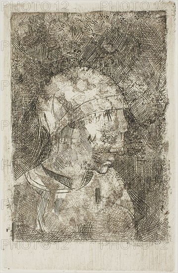 Head of a Young Girl (Compiler’s Title), c. 1886, Odilon Redon, French, 1840-1916, France, Etching on white wove paper, 158 × 107 mm (image), 185 × 121 mm (plate), 285 × 228 mm (sheet)
