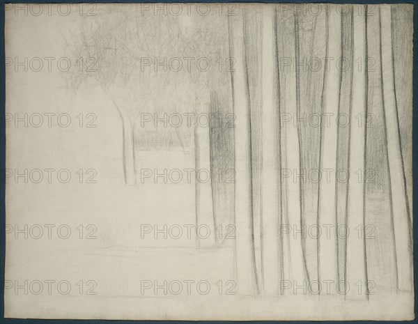 Tree Trunks (study for La Grande Jatte), 1884, Georges Seurat, French, 1859-1891, France, Black Conté crayon on ivory laid paper, 474 × 615 mm