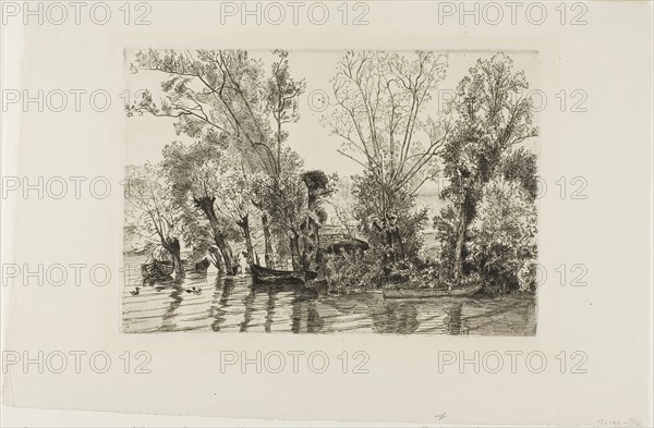 The Willows at Mottiaux, 1868, Felix Bracquemond, French, 1833–1914, France, Etching on cream laid paper, 203 × 295 mm (image), 297 × 453 mm (sheet)