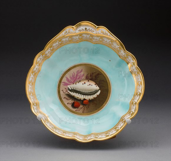 Plate, 1813/19, Worcester Porcelain Factory (Flight, Barr & Barr Period), Worcester, England, founded 1751, Worcester, Soft-paste porcelain with polychrome enamels and gilding, 4.8 x 18.9 x 19.7 cm (1 7/8 x 7 7/16 x 7 3/4 in.)