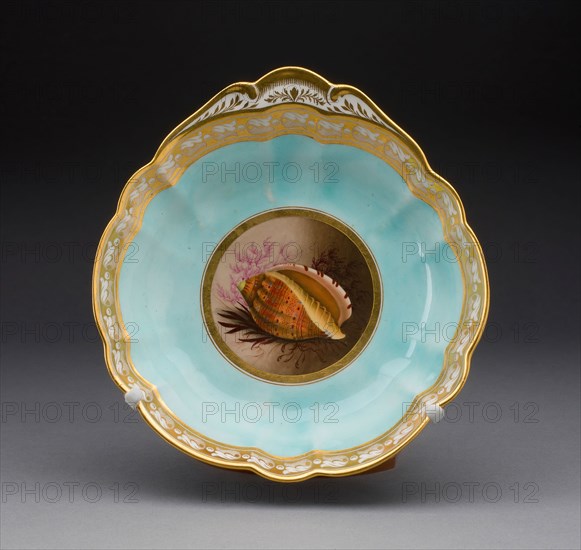 Plate, 1813/19, Worcester Porcelain Factory (Flight, Barr & Barr Period), Worcester, England, founded 1751, Worcester, Soft-paste porcelain with polychrome enamels and gilding, 4.8 x 18.9 x 19.7 cm (1 7/8 x 7 7/16 x 7 3/4 in.)